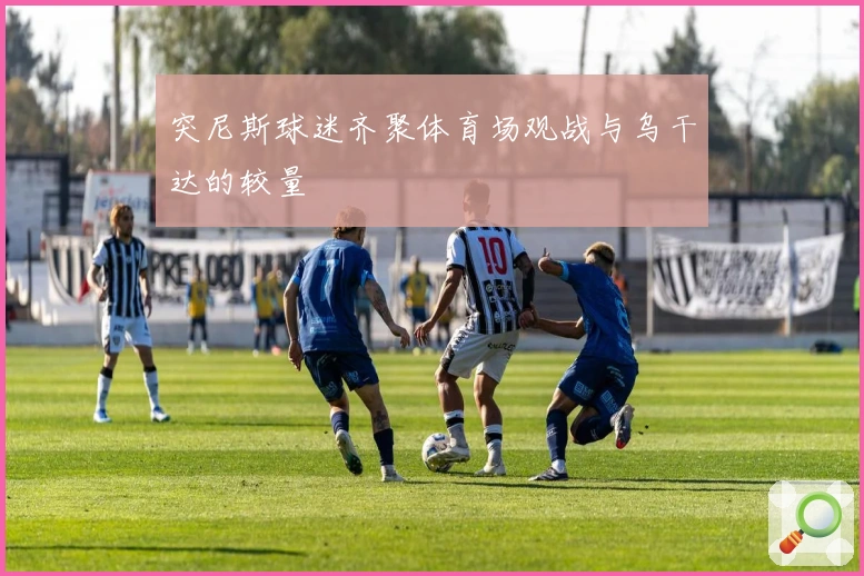 突尼斯球迷齐聚体育场观战与乌干达的较量