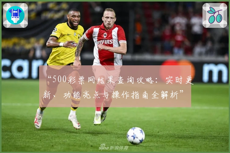 “500彩票网结果查询攻略:实时更新、功能亮点与操作指南全解析”