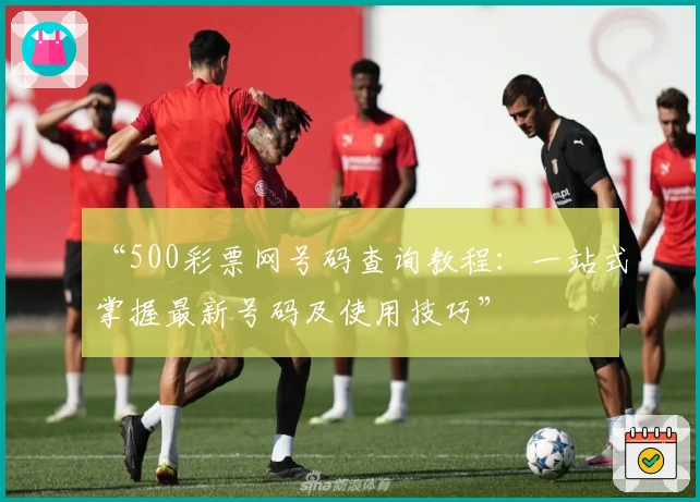 “500彩票网号码查询教程：一站式掌握最新号码及使用技巧”