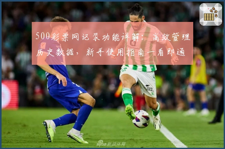500彩票网记录功能详解：高效管理历史数据，新手使用指南一看即通