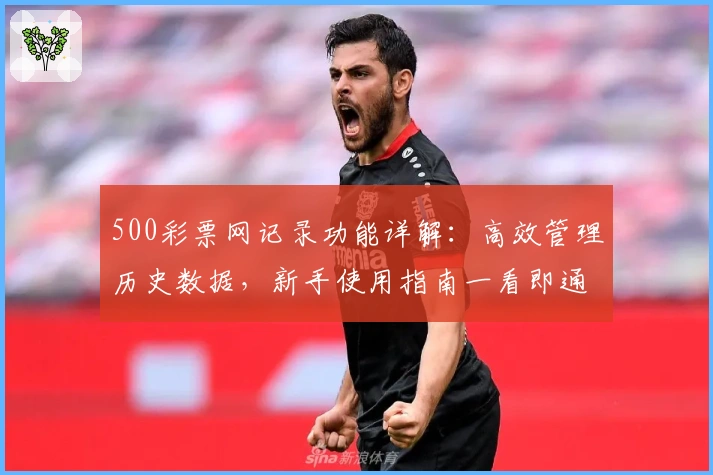 500彩票网记录功能详解：高效管理历史数据，新手使用指南一看即通